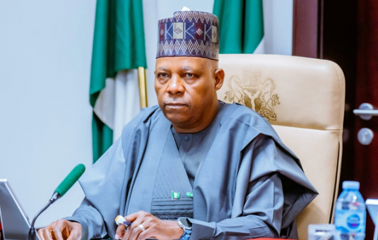 NEC Pushes for Non-oil Revenue Expansion, Inaugurates Panel on Tinubu’s Legacy Projects
