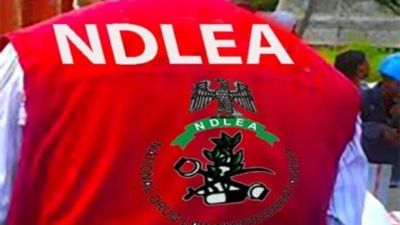 NDLEA Intercepts Europe-Bound Drug Consignments Hidden in Water Purifiers, Seizes Over 1.2 Tonnes of Skunk